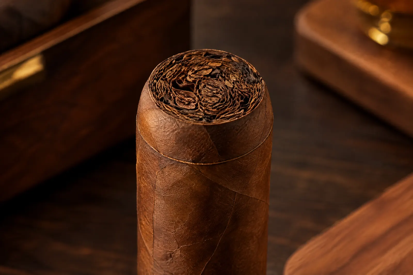 The head of a cigar after a clean straight cut, the cap line still intact below the opening