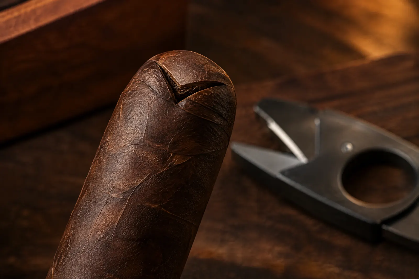 A maduro cigar head with a neat wedge-shaped V-cut across the cap