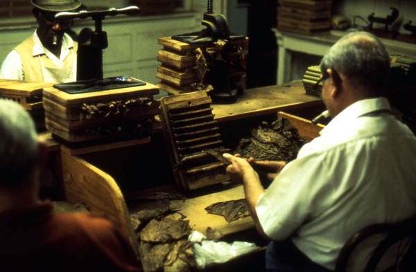 Cuban cigar rollers at work in Ybor City, Florida