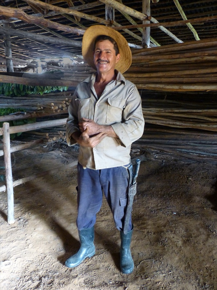 A tobacco farmer holding a large wrapper leaf in a growing valley