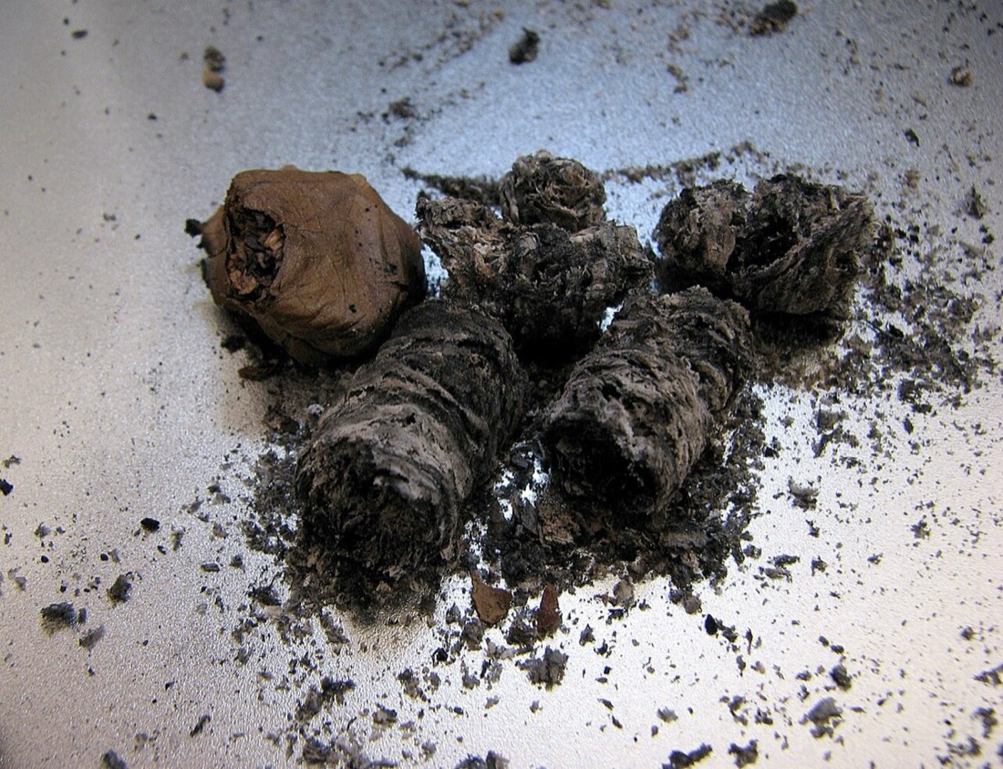 A lit cigar with a long grey ash and a glowing ember