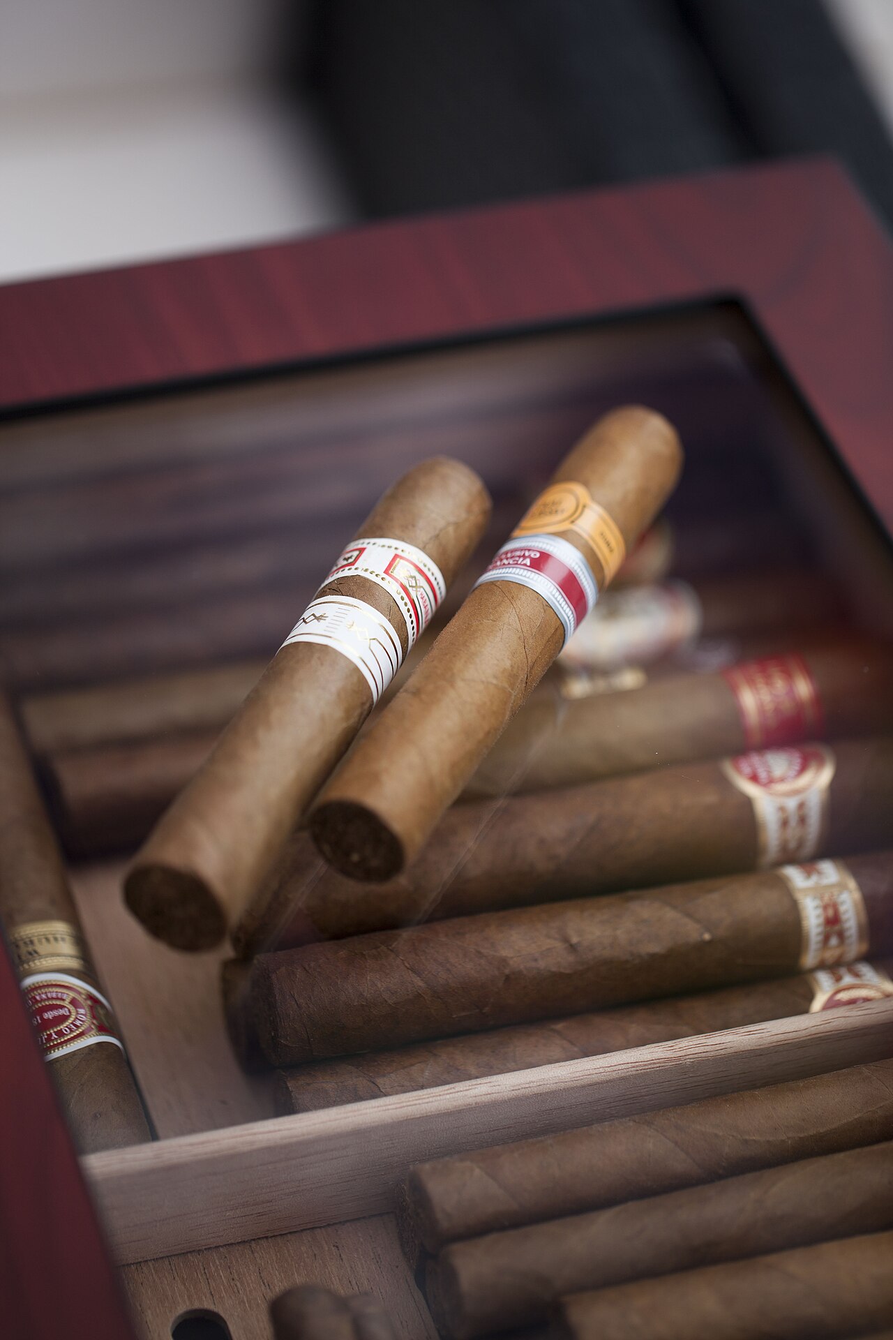 The interior seating of a cigar lounge