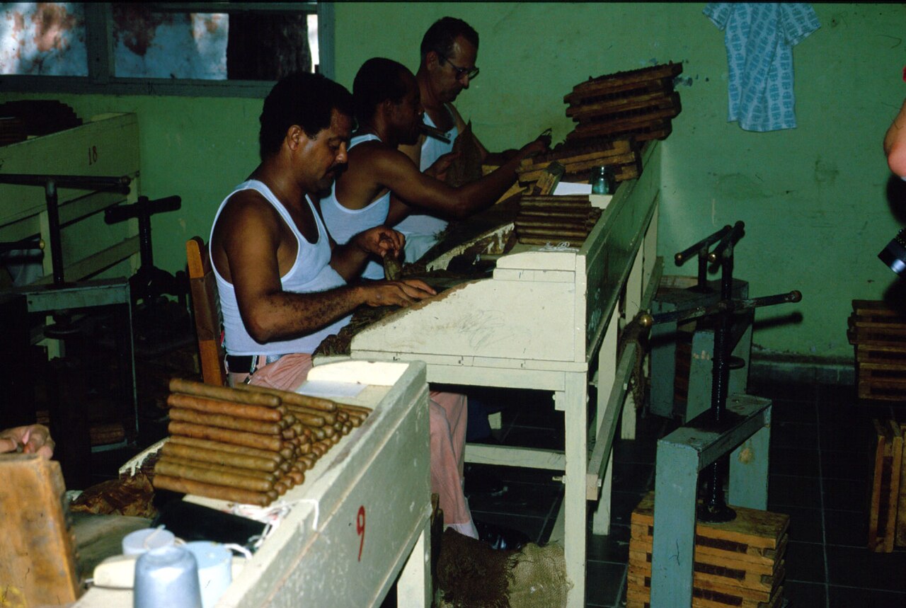 A cigar roller at work at a bench in Pinar del Rio, Cuba