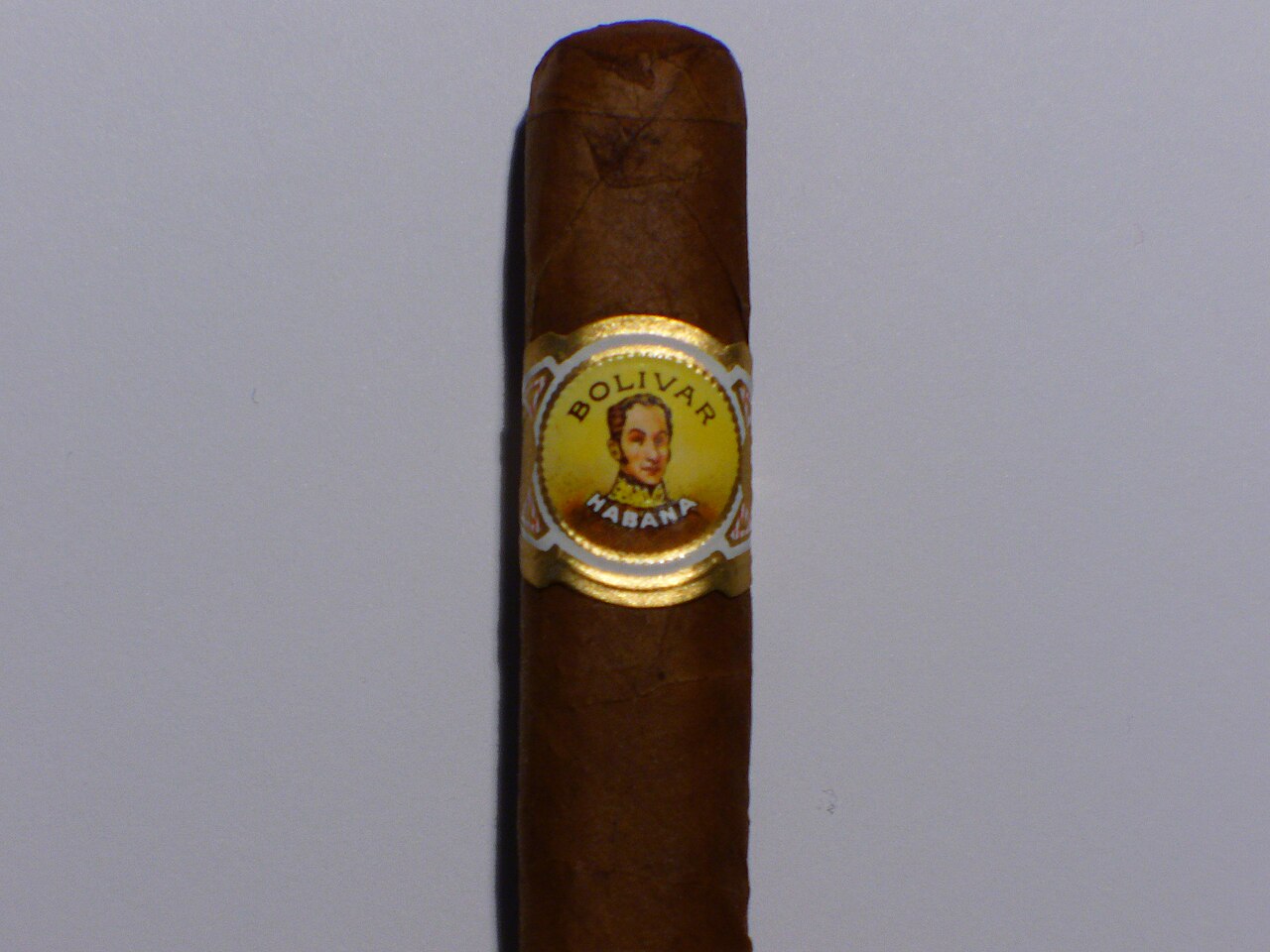 A single cigar with a dark, oily maduro-toned wrapper